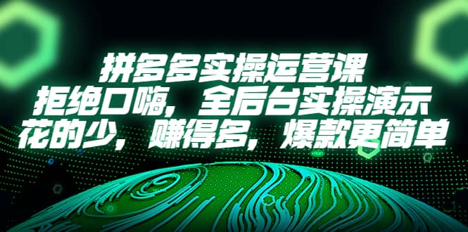 拼多多实操运营课：拒绝口嗨，全后台实操演示，花的少，赚得多，爆款更简单-宁率网络知识库