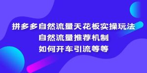 拼多多自然流量天花板实操玩法：自然流量推荐机制，如何开车引流等等-宁率网络知识库