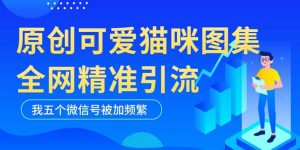 黑科技纯原创可爱猫咪图片，全网精准引流，实操5个VX号被加频繁-宁率网络知识库