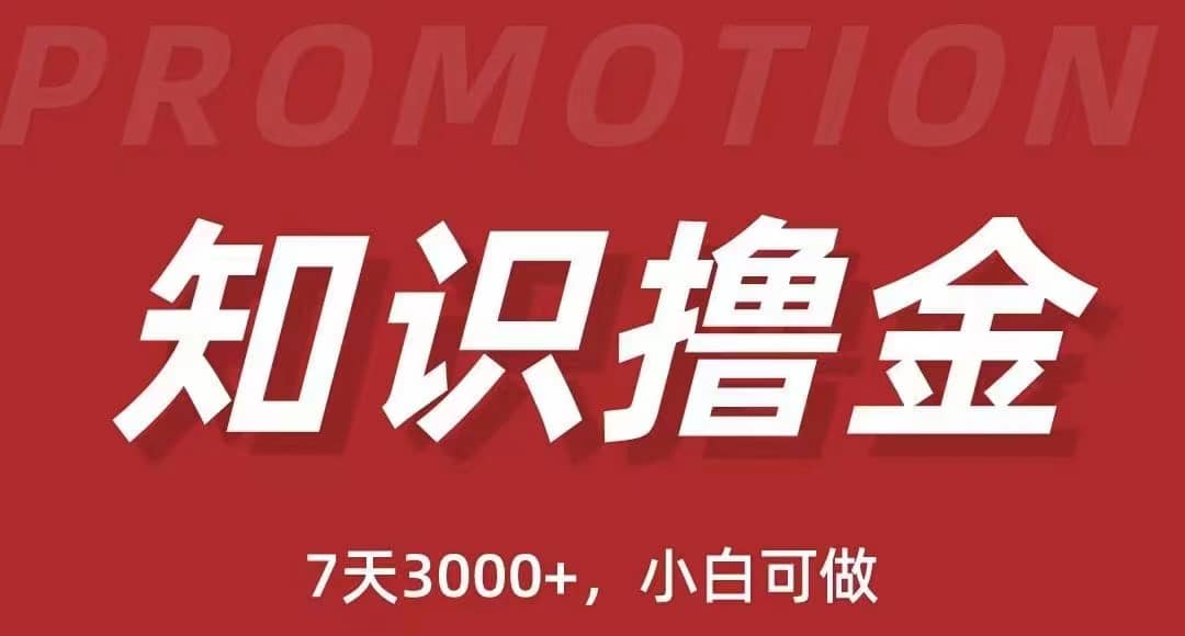 抖音知识撸金项目：执行力强当天见收益(教程+资料)-宁率网络知识库