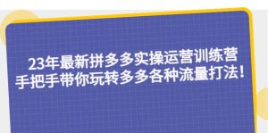 23年最新拼多多实操运营训练营：手把手带你玩转多多各种流量打法！-宁率网络知识库