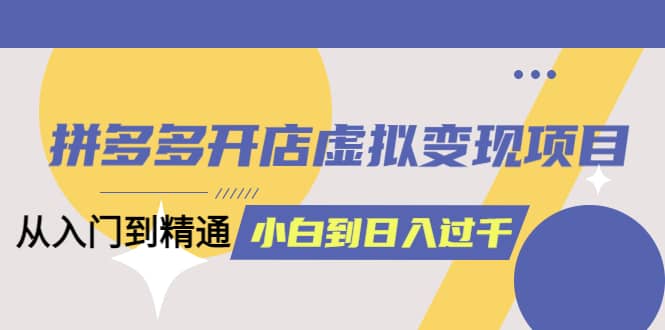 拼多多开店虚拟变现项目：入门到精通 从小白到日入1000（完整版）4月10更新-宁率网络知识库