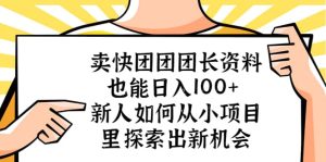 卖快团团团长资料也能日入100+ 新人如何从小项目里探索出新机会-宁率网络知识库