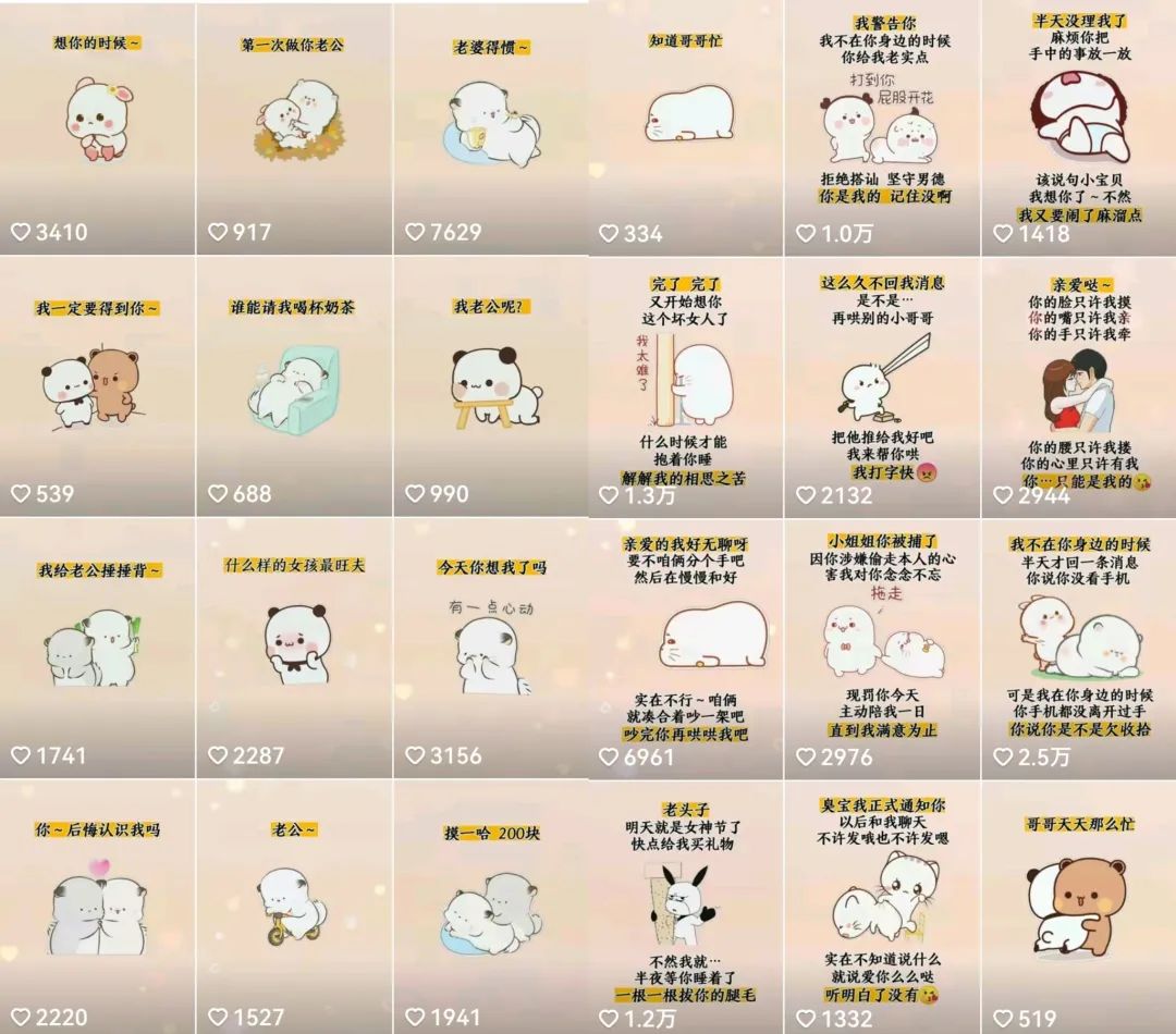 抖音表情包小程序变现项目，一条龙玩法详细大解析，视频版学习-宁率网络知识库