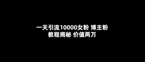 一天引流10000女粉，博主粉教程揭秘（价值两万）-宁率网络知识库