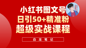 小红书图文号日引50+精准流量，超级实战的小红书引流课，非常适合新手-宁率网络知识库