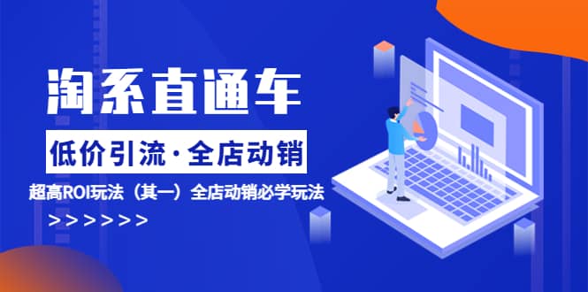 淘系直通车《低价·引流 全店·动销》超高ROI玩法（其一）全店动销必学玩法-宁率网络知识库