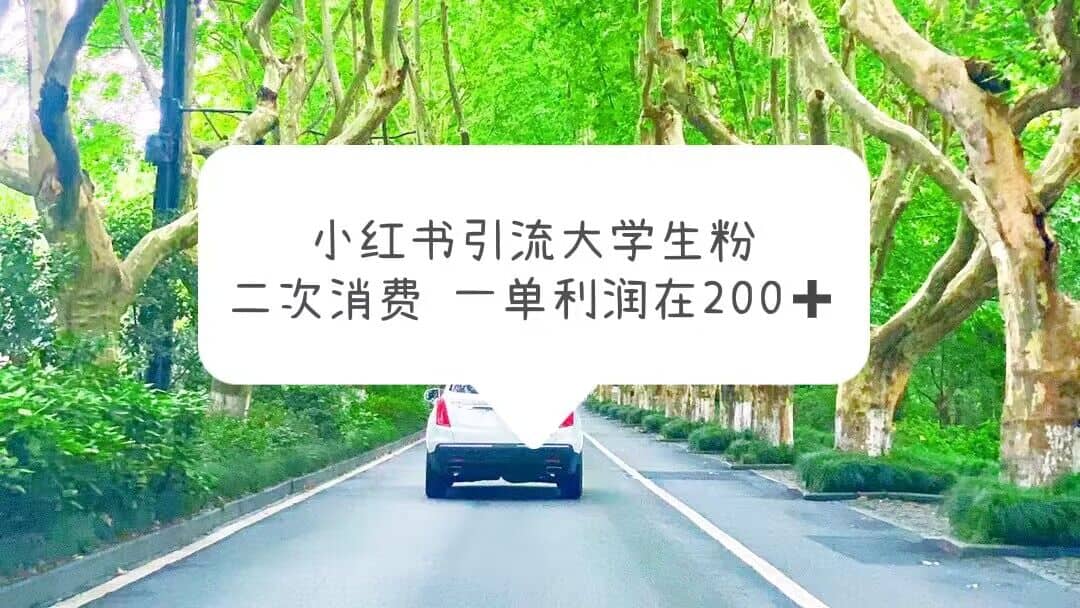 小红书引流大学生粉，变现项目，一单利润在200+（教程+资源）-宁率网络知识库