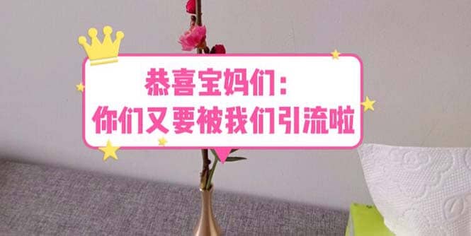 恭喜宝妈们：你们又要被我们引流了（教程+222g资料）-宁率网络知识库