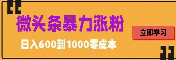 微头条暴力涨粉技巧搬运文案就能涨几万粉丝，简单0成本，日赚600-宁率网络知识库