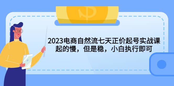2023电商自然流七天正价起号实战课：起的慢，但是稳，小白执行即可-宁率网络知识库