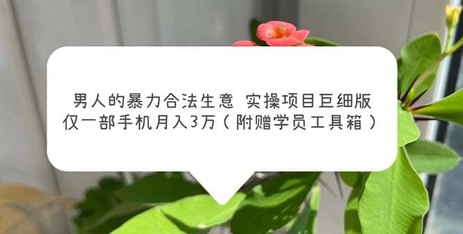 男人的暴力合法生意实操项目巨细版：仅一部手机月入3w（附赠学员工具箱）-宁率网络知识库