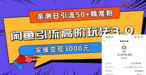 实测日引50+精准粉，闲鱼引流高阶玩法3.0，实操变现3000元-宁率网络知识库