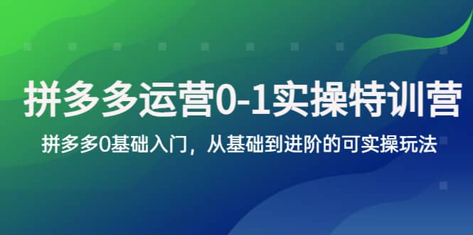 拼多多-运营0-1实操训练营，拼多多0基础入门，从基础到进阶的可实操玩法-宁率网络知识库