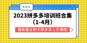 2023拼多多培训班合集(1-4月),最新最全新手拼多多上手课程!-宁率网络知识库