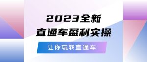 2023全新直通车·盈利实操:从底层,策略到搭建,让你玩转直通车-宁率网络知识库