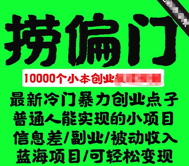 千款捞偏门小本创业小项目，总有一款适合你【无水印】-宁率网络知识库