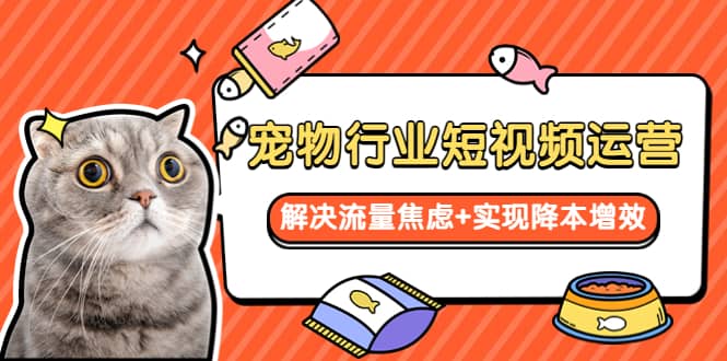 宠物/行业短视频运营 流量增长的一层窗户纸 解决流量焦虑+实现降本增效-宁率网络知识库