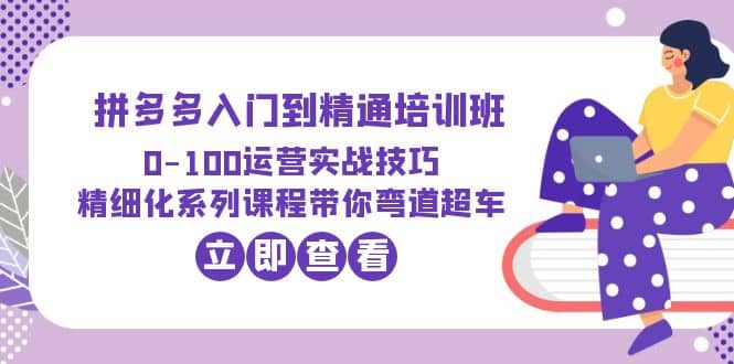 2023拼多多入门到精通培训班：0-100运营实战技巧 精细化系列课带你弯道超车-宁率网络知识库