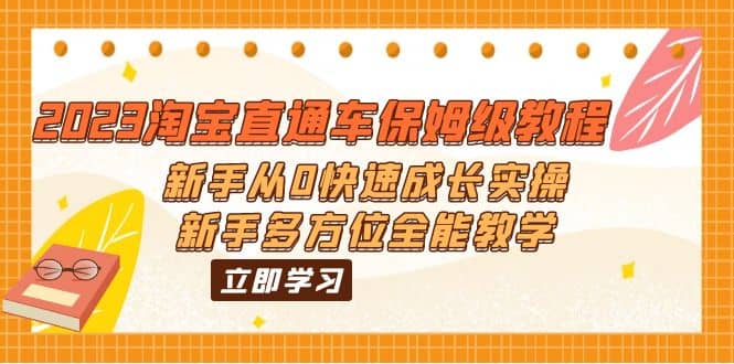 2023淘宝直通车保姆级教程：新手从0快速成长实操，新手多方位全能教学-宁率网络知识库