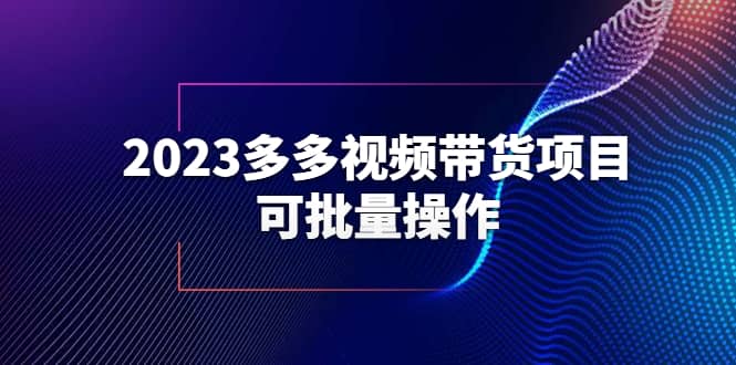 2023多多视频带货项目，可批量操作【保姆级教学】-宁率网络知识库