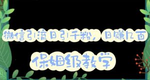 微信互推圈半自动引流方案,矩阵操作日引千人思路【详细视频教程】-宁率网络知识库