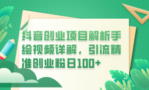 抖音创业项目解析手绘视频详解，引流精准创业粉日100+-宁率网络知识库