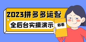 2023拼多多·运营：14节干货实战课，拒绝-口嗨，全后台实操演示-宁率网络知识库