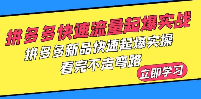 拼多多-快速流量起爆实战，拼多多新品快速起爆实操，看完不走弯路-宁率网络知识库