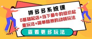 拼多多系统课:0基础起店+当下最牛的低价起量玩法+简单粗暴的动销玩法-宁率网络知识库