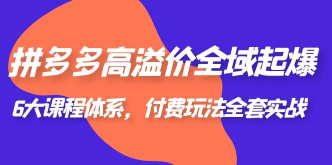 拼多多-高溢价 全域 起爆，6大课程体系，付费玩法全套实战-宁率网络知识库