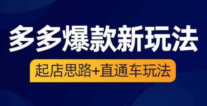 2023拼多多爆款·新玩法：起店思路+直通车玩法（3节精华课）-宁率网络知识库