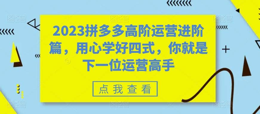 2023拼多多高阶运营进阶篇，用心学好四式，你就是下一位运营高手-宁率网络知识库