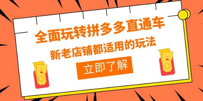 全面玩转拼多多直通车，新老店铺都适用的玩法（12节精华课）-宁率网络知识库