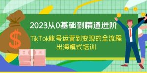 2023从0基础到精通进阶，TikTok账号运营到变现的全流程出海模式培训-宁率网络知识库