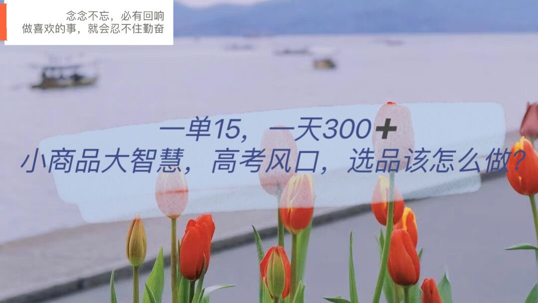 一单15，一天300+，小商品大智慧，高考风口，选品该怎么布局-宁率网络知识库