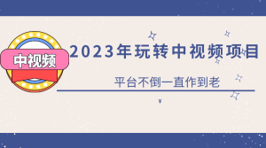 2023一心0基础玩转中视频项目：平台不倒，一直做到老-宁率网络知识库