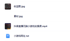 抖音直播烧脑小游戏，日撸2000+音浪，小白也可无脑操作-宁率网络知识库