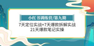小红书训练营/第九期:7天定位实战+7天爆款拆解实战,21天爆款笔记实操-宁率网络知识库