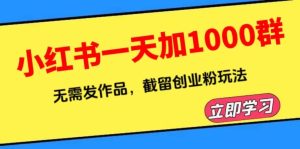 小红书一天加1000群,无需发作品,截留创业粉玩法 (附软件)-宁率网络知识库