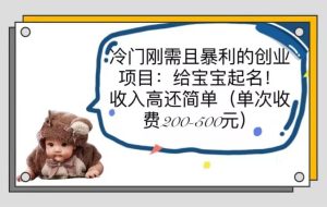 冷门刚需且暴利的创业项目：给宝宝起名！收入高还简单（单次200-500）-宁率网络知识库