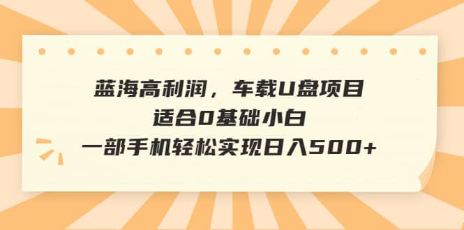 蓝海高利润，车载U盘项目，适合0基础小白，一部手机轻松实现日入500+-宁率网络知识库