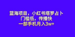 蓝海项目，小红书塔罗占卜，门槛低，传播快，一部手机月入3w+-宁率网络知识库