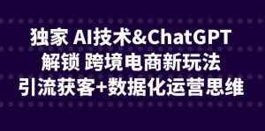 独家 AI技术ChatGPT解锁 跨境电商新玩法，引流获客+数据化运营思维-宁率网络知识库