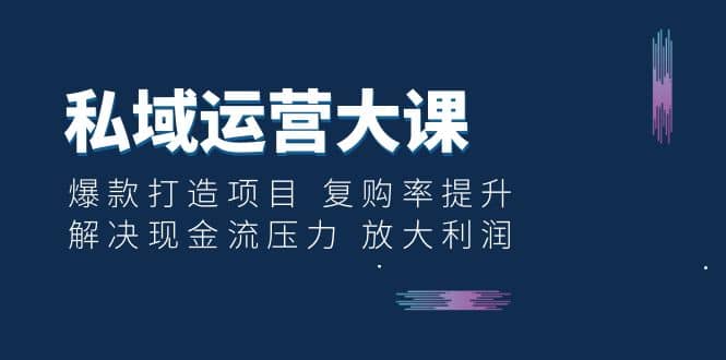 私域运营大课：爆款打造项目 复购率提升 解决现金流压力 放大利润-宁率网络知识库