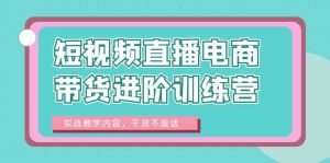 短视频直播电商带货进阶训练营：实战教学内容，干货不废话-宁率网络知识库