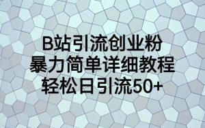B站引流创业粉，暴力简单详细教程，轻松日引流50+-宁率网络知识库