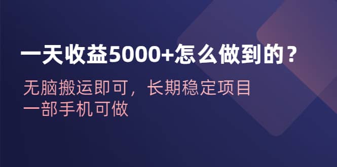 一天收益5000+怎么做到的？无脑搬运即可，长期稳定项目，一部手机可做-宁率网络知识库