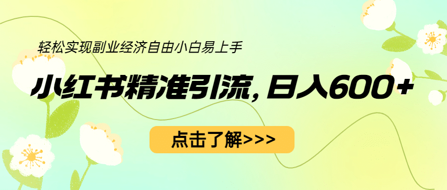 小红书精准引流，小白日入600+，轻松实现副业经济自由（教程+1153G资源）-宁率网络知识库