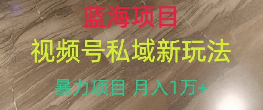 蓝海项目，视频号私域新玩法，暴力项目月入1万+【揭秘】-宁率网络知识库
